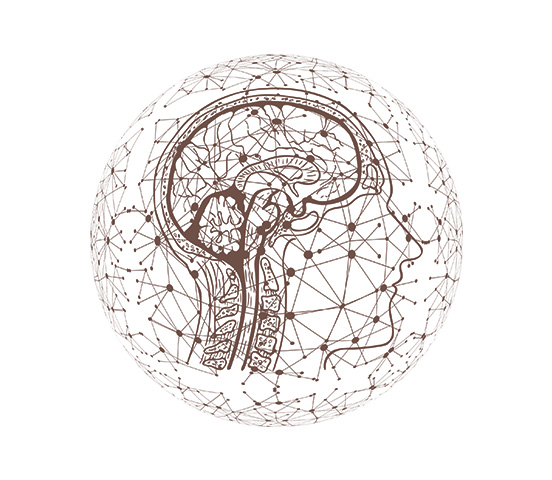 КВМ – Компания Вселенная мозга